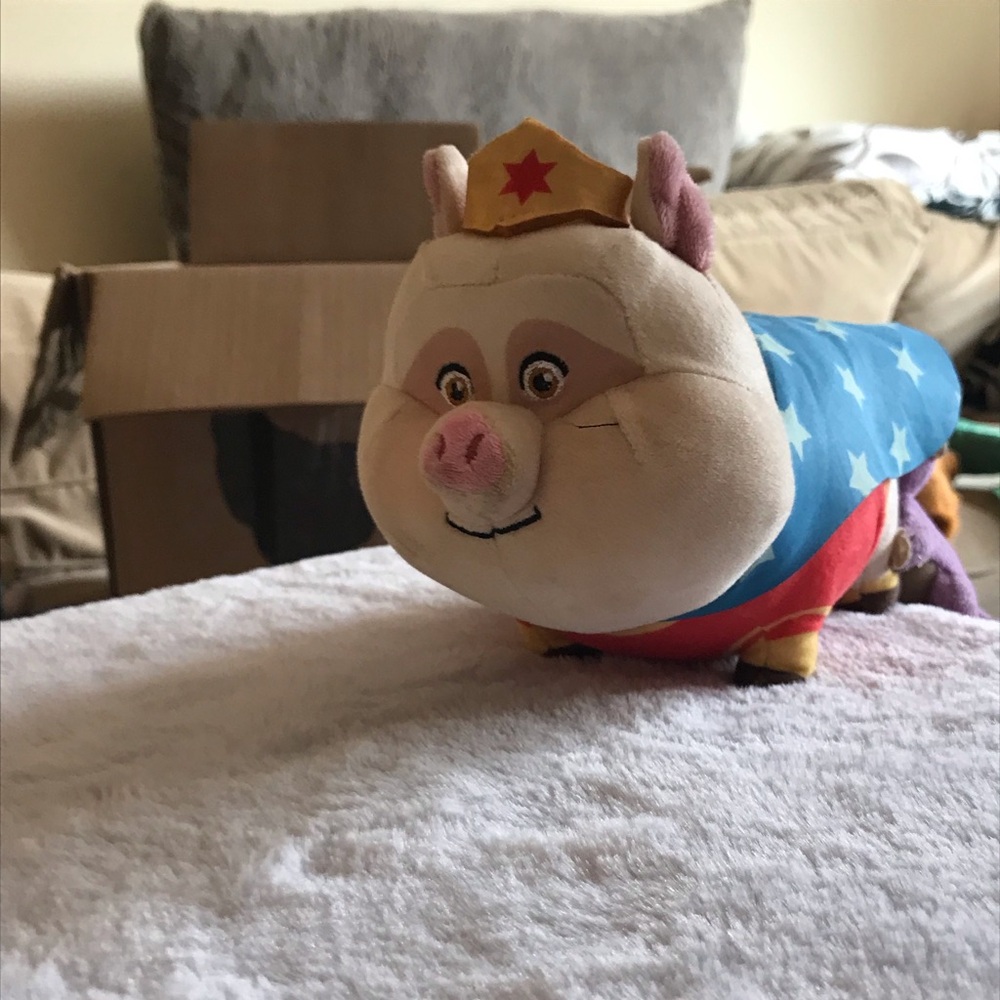 Wonder piggy